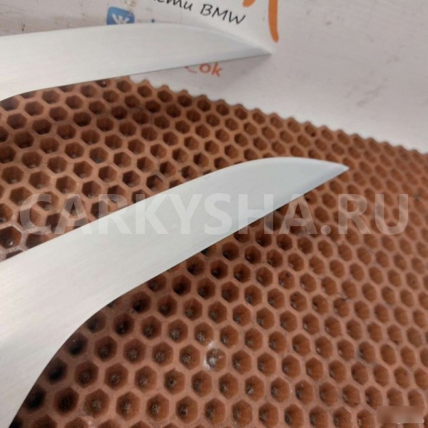 Накладка двери BMW X1 
