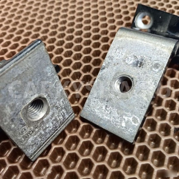 Петли двери BMW X6 