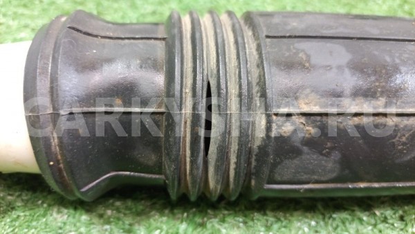 Амортизатор подвески задний Fiat Albea 2010 Fiat Albea 