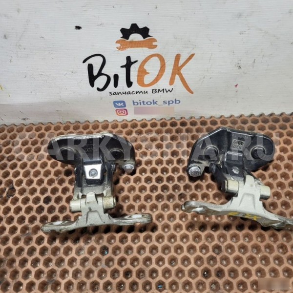 Петли крышки багажника BMW X1 