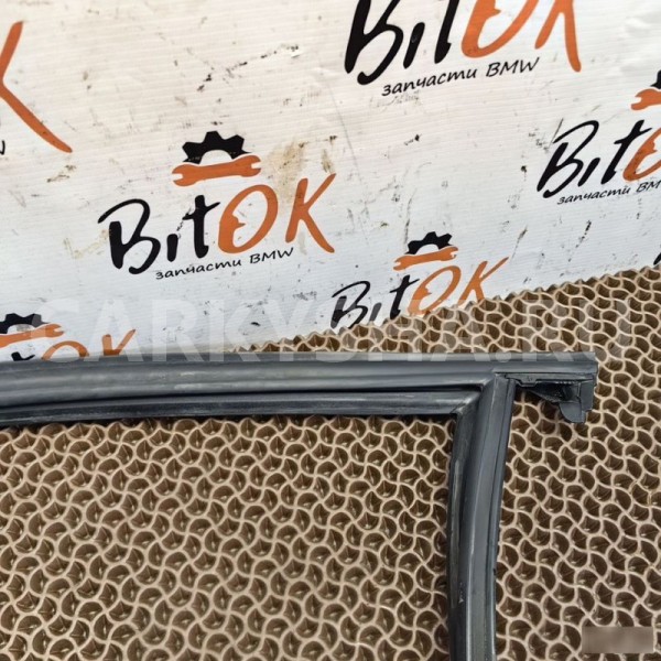 Направляющая резинка стекла BMW X1 