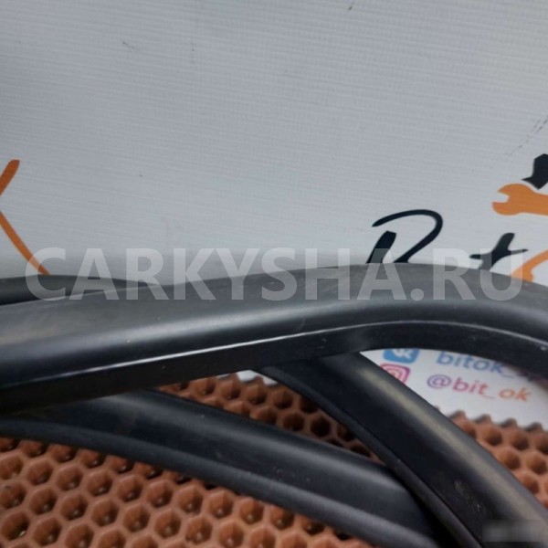 Уплотнитель дверного проема BMW X1 