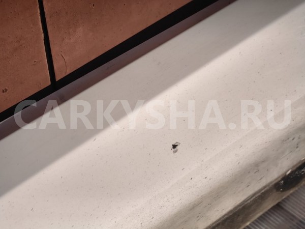 Накладка на порог BMW X1 