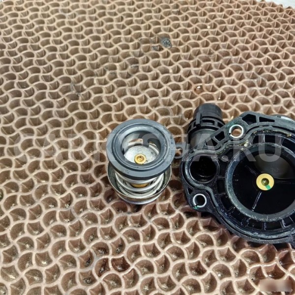 Термостат BMW X1 