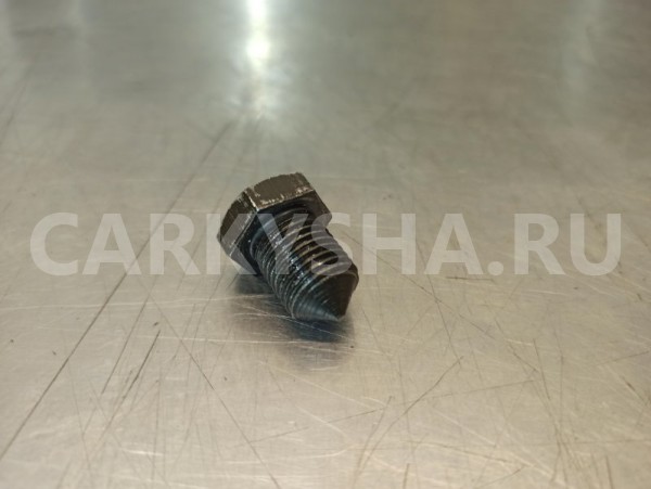 Пробка поддона сливная Volkswagen Tiguan 5N2 CAVA Volkswagen Tiguan 