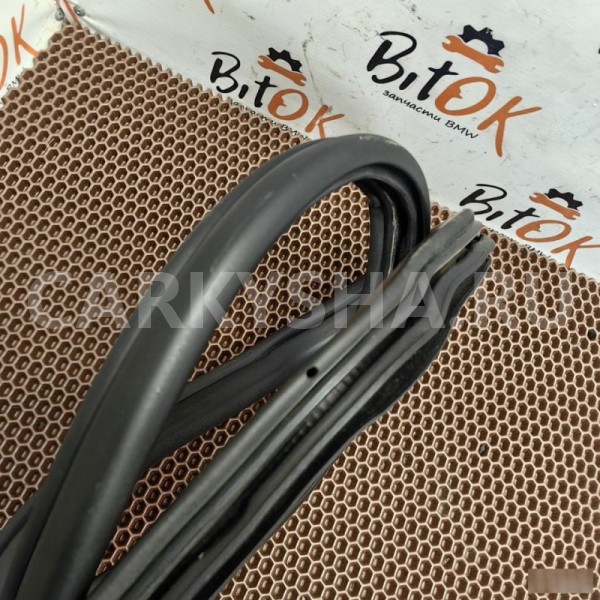 Уплотнитель двери BMW X6 