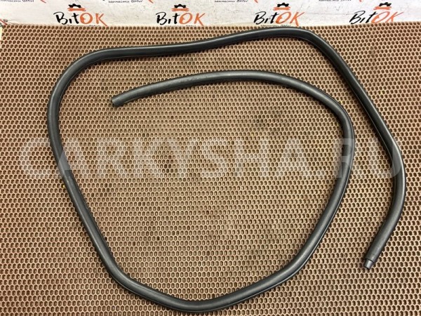 Уплотнитель проема двери BMW X1 