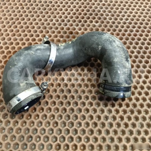 Шланг охлаждения BMW X3 