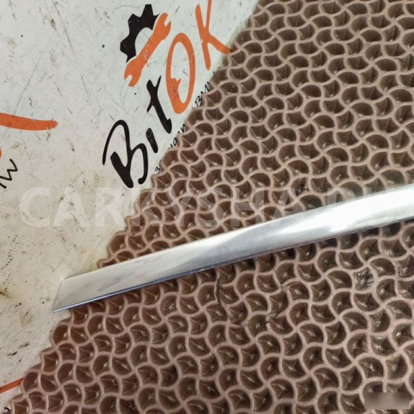 Молдинг двери BMW X6 