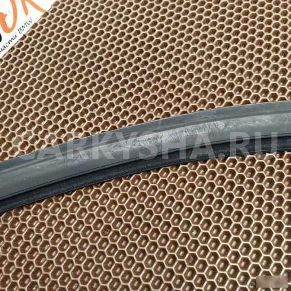 Направляющая стекла BMW X1 