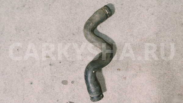 Патрубок радиатора Renault Logan 1 Renault 20 