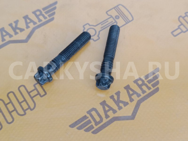 Болт шатуна BMW X1 E84 N47D20C 2.0D 2012 BMW X1 