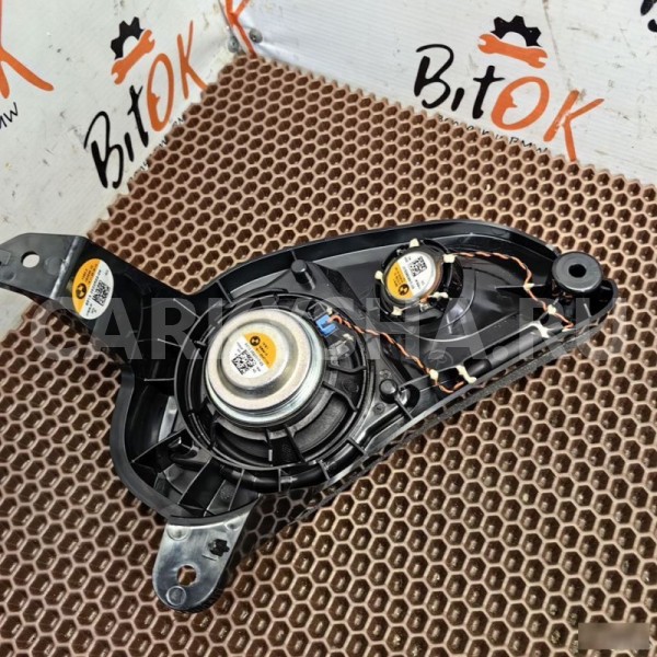 Динамик BMW X7 