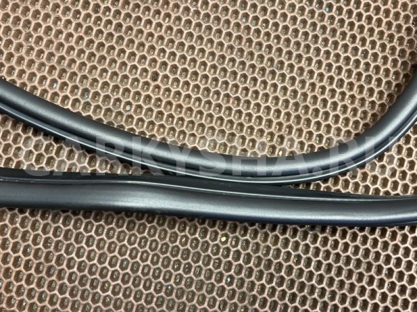 Уплотнитель дверного проема BMW X1 