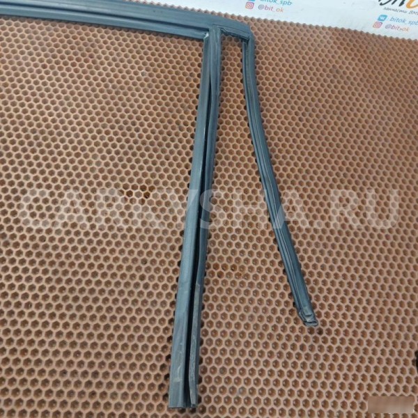 Направляющая резинка стекла BMW X1 