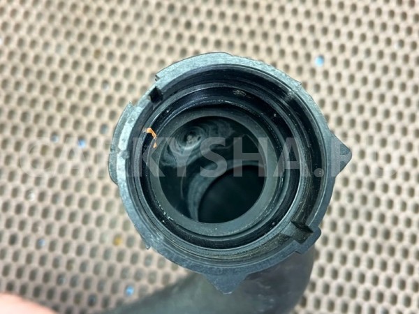 Шланг системы охлаждения BMW X1 