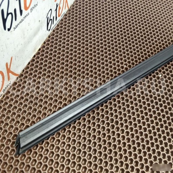 Уплотнитель стекла двери BMW X1 