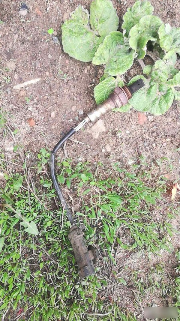 Датчик кислородный/Lambdasonde Renault Symbol I (1999—2002) Renault 19 оригинальный номер 392103C100