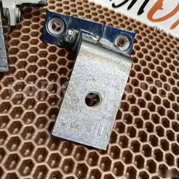 Петли двери BMW X6 