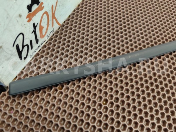 Молдинг двери BMW X1 