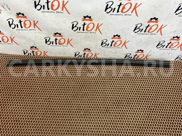 Уплотнитель стекла двери BMW X6 
